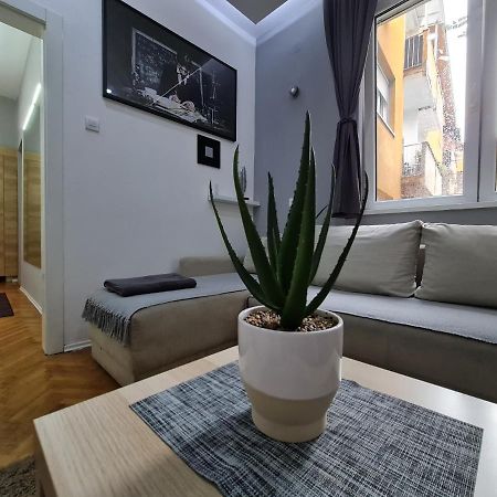 Nikola Tesla City Walk Apartment Nis Exterior photo